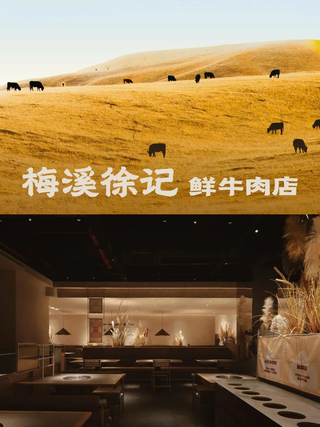 徐记·鲜牛肉潮汕火锅店全案装修设计规划(图1)